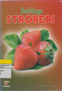 Image of Budidaya STROBERI