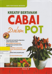 Image of KREATIF BERTANAM CABAI Dalam POT